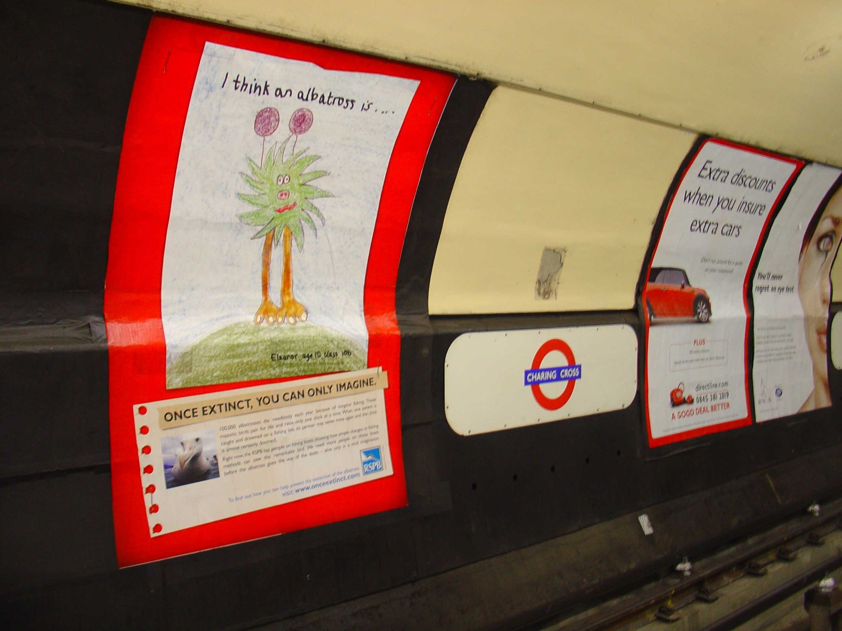 POSTER 2 IN SITU