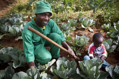 CO creates Traidcraft’s Xmas African Appeal